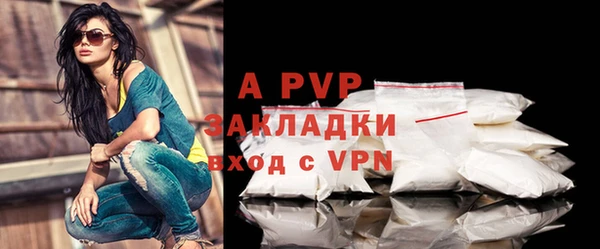 крисы Осинники