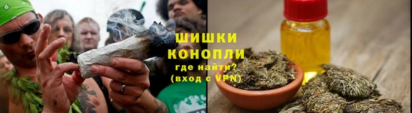 ALPHA PVP Остров