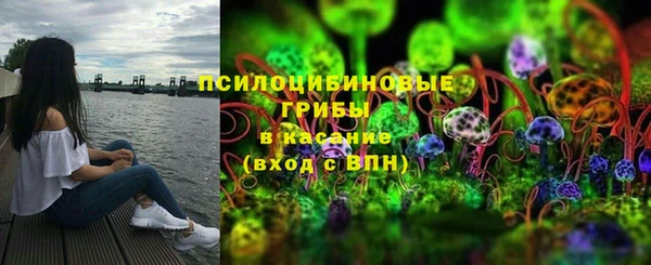крисы Осинники