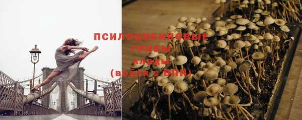 a pvp Пестово