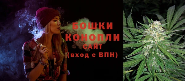 крисы Осинники