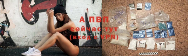 твердый Осташков