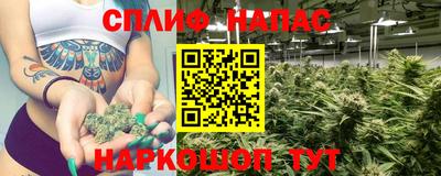 мдпв Донецк