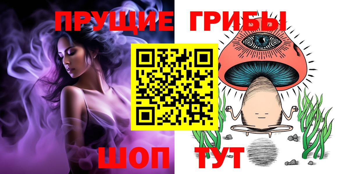 Псилоцибиновые грибы Cubensis Кумертау