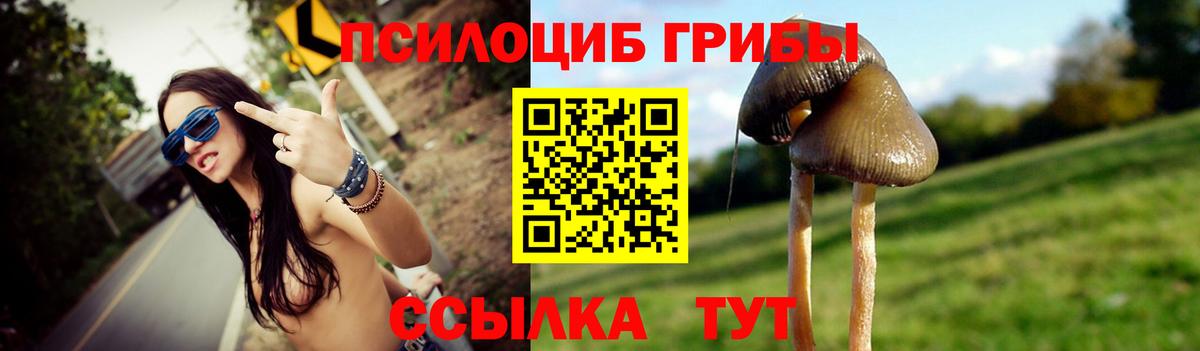 Кумертау  Псилоцибиновые грибы Cubensis  Вход с VPN  Галлюциногенные грибы ЛСД 